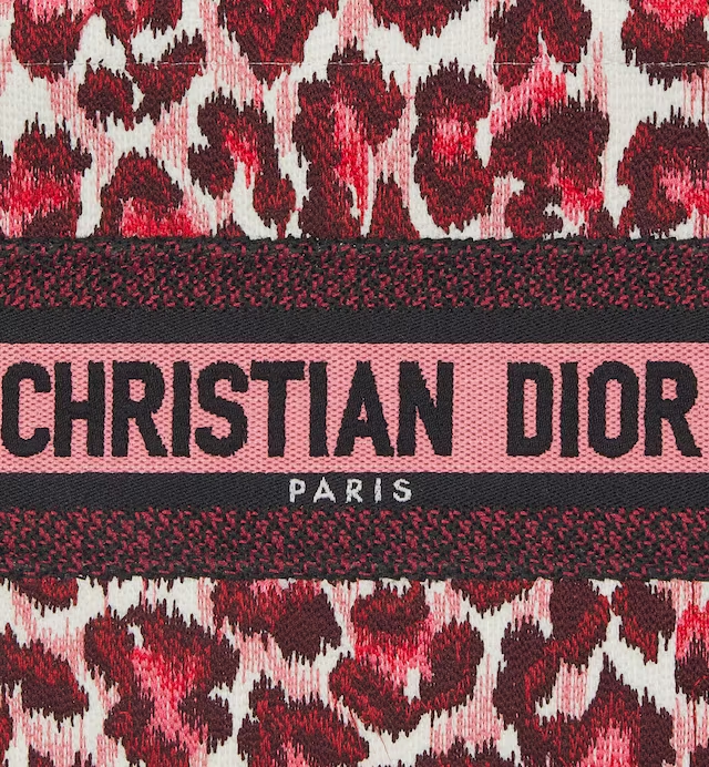 SMALL DIOR BOOK TOTE